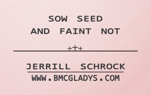 sow seed and faint not jerrill schrock